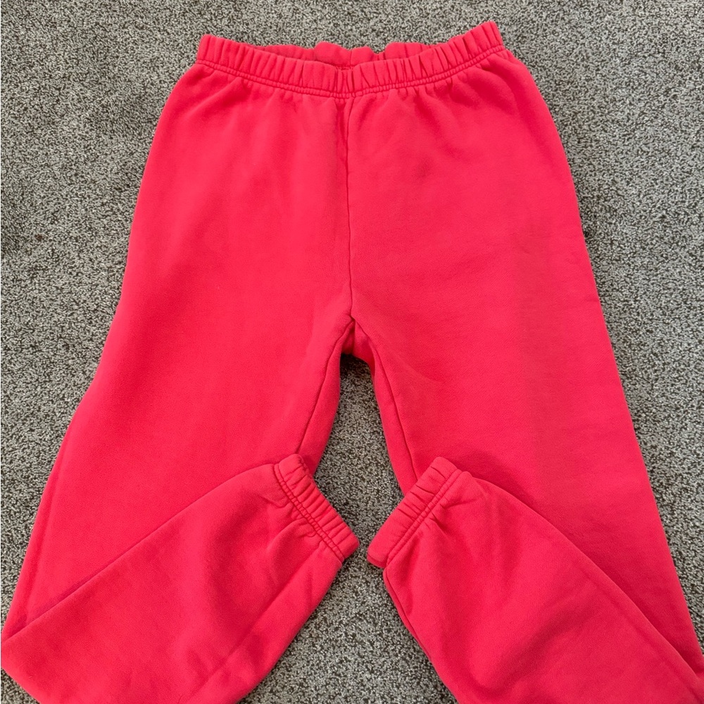 Aritzia TNA joggers
